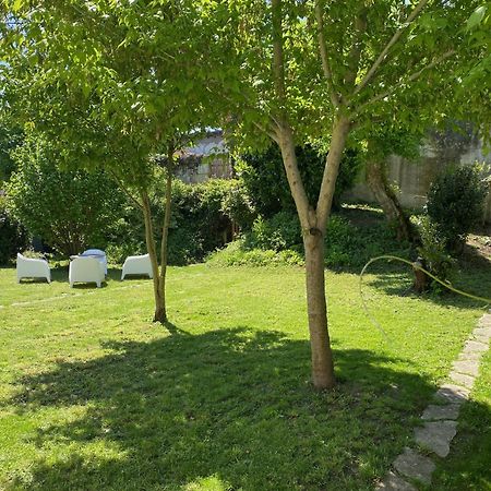 Clos Des Chardons - Le Jardin Saint-Aignan  Dış mekan fotoğraf